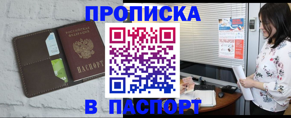 временная регистрация для всех в Курчалом